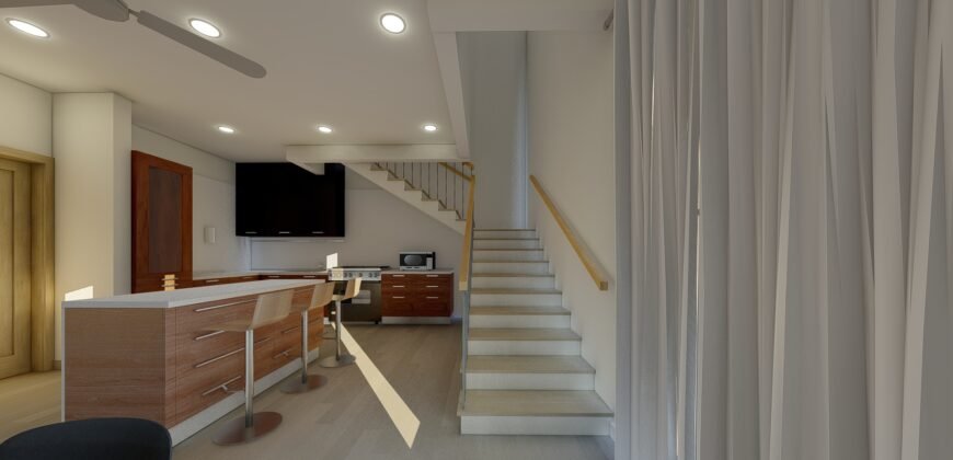 The Dromo House