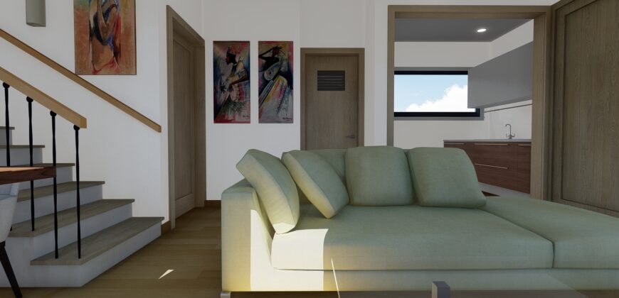 The Dromo House